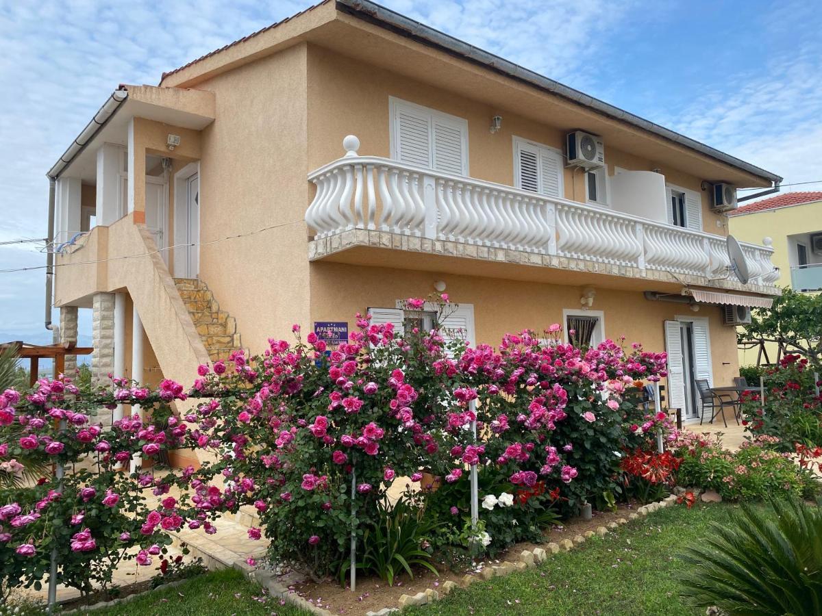 Apartments Lolo Privlaka  Dış mekan fotoğraf