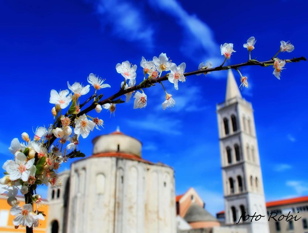 Apartments Lolo Privlaka  Dış mekan fotoğraf