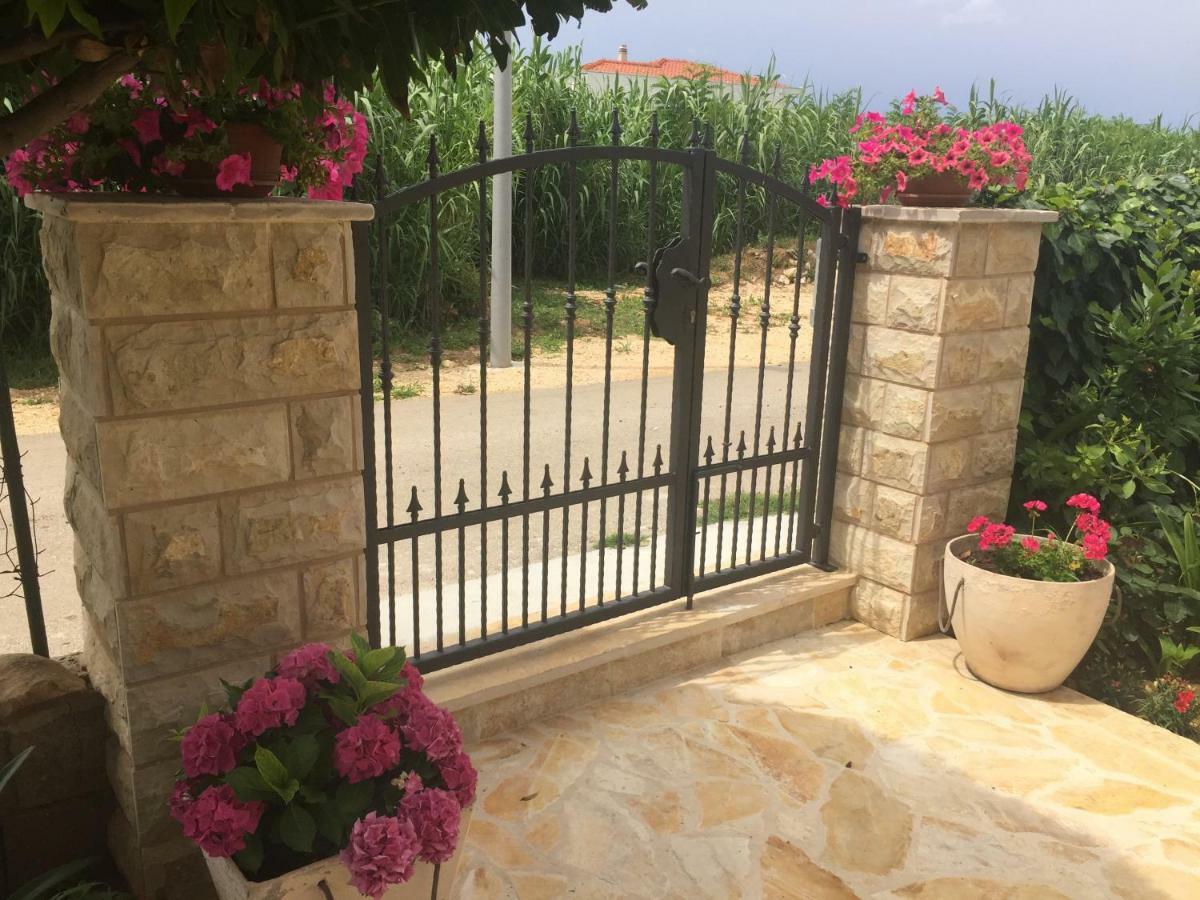 Apartments Lolo Privlaka  Dış mekan fotoğraf
